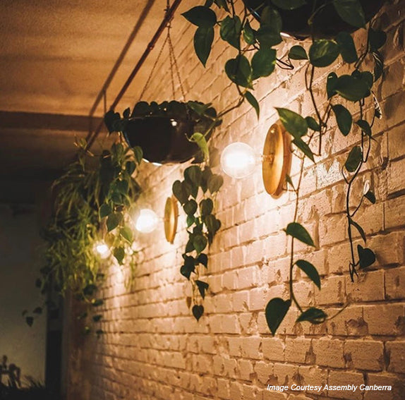 G125 8W LED Long Filament Light Bulb E27 2200K Clear Bulb | Superior Quality LED Light Globes | Vintage LED